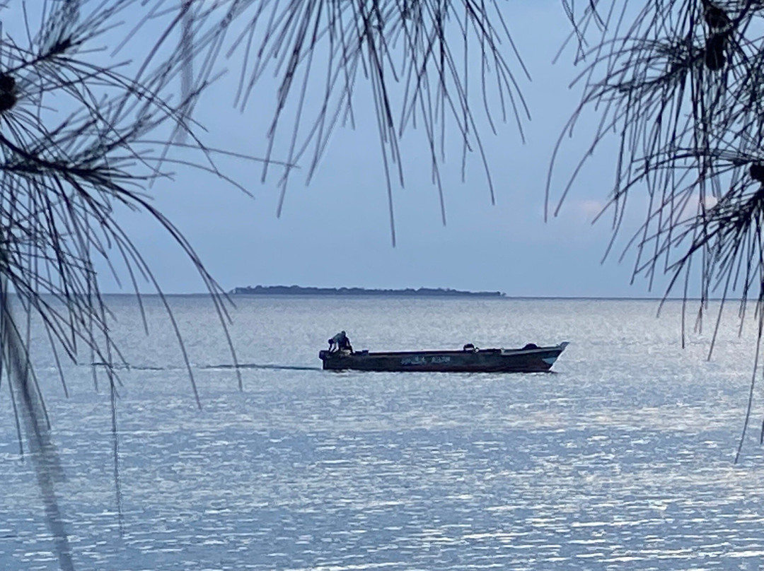 红树林旅馆主图