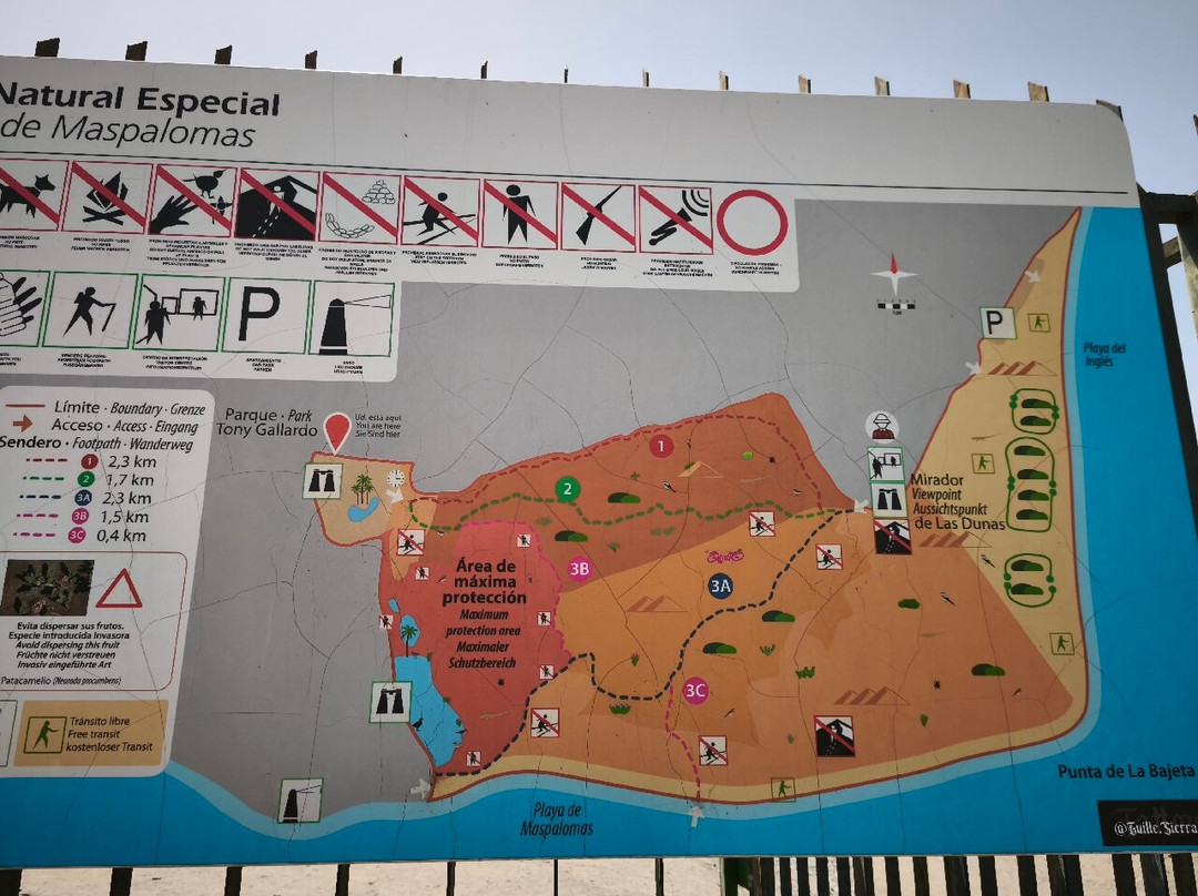 Reserva Natural Especial de Las Dunas de Maspalomas-马斯帕洛马斯必去景点