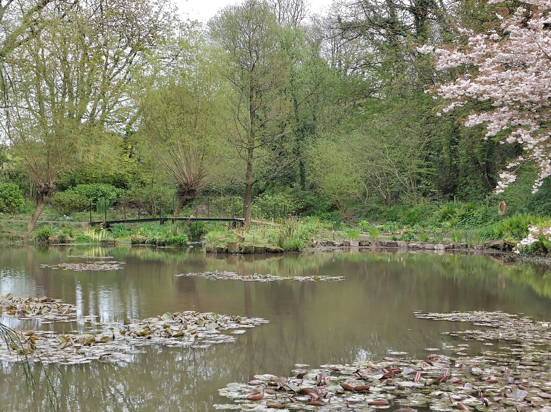 Marwood Hill Gardens-Marwood必去景点