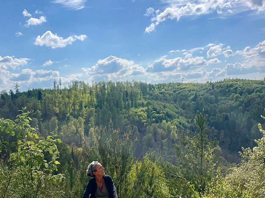 Traces Vosges du Nord-La Petite Pierre必去景点