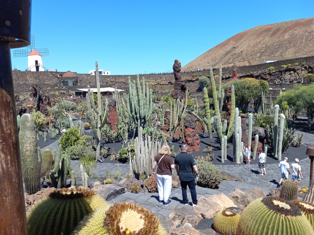 Jardin de Cactus-Guatiza必去景点