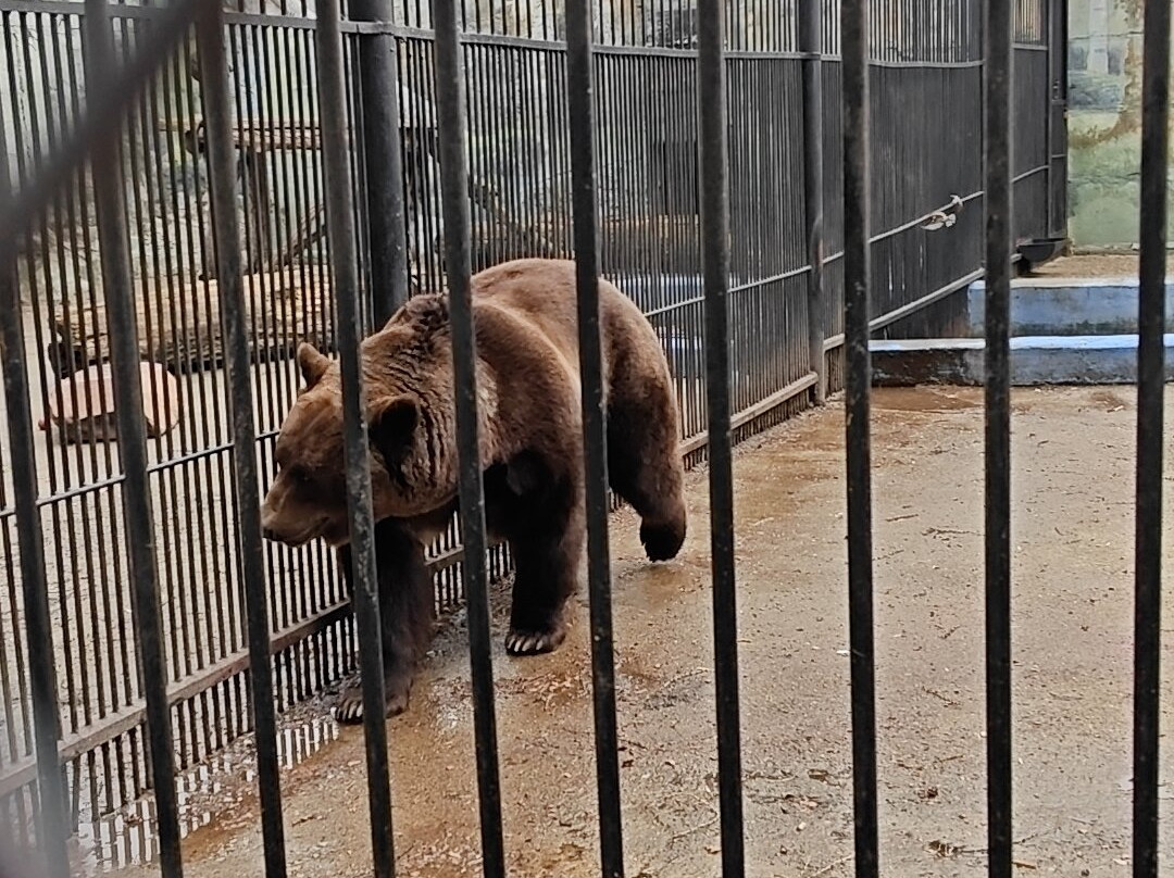 Limpopo Zoo-下诺夫哥罗德必去景点