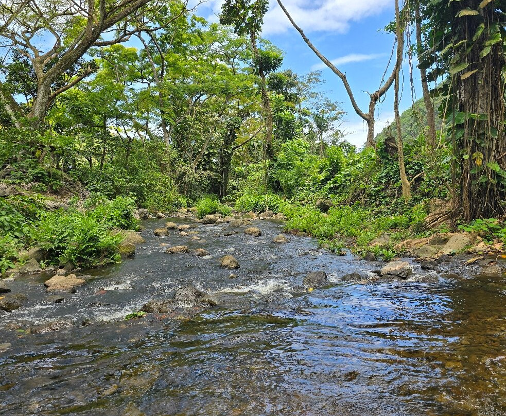 Waipio Valley Shuttle-库库伊哈尔必去景点