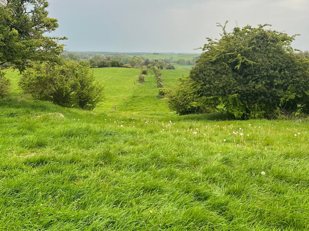 Hill of Uisneach-Killare必去景点