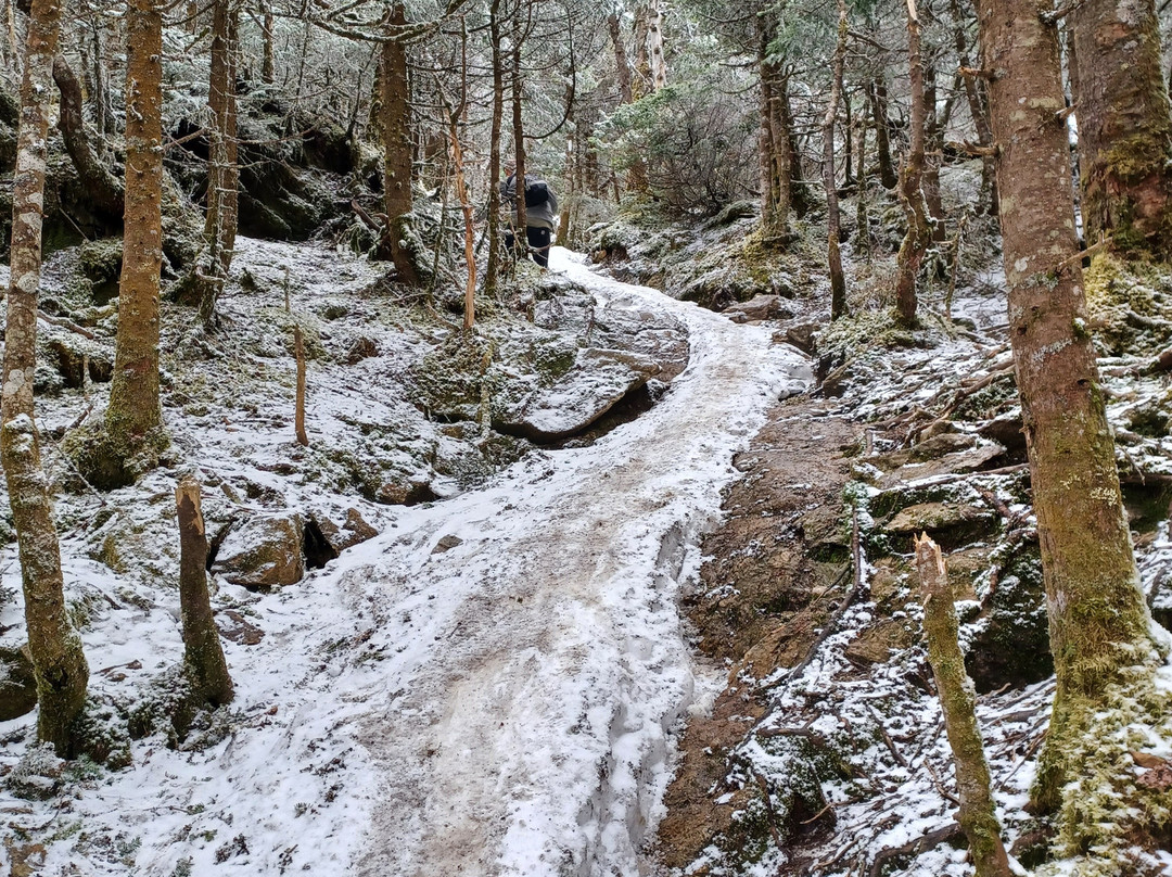 Camel's Hump State Park-沃特伯里必去景点
