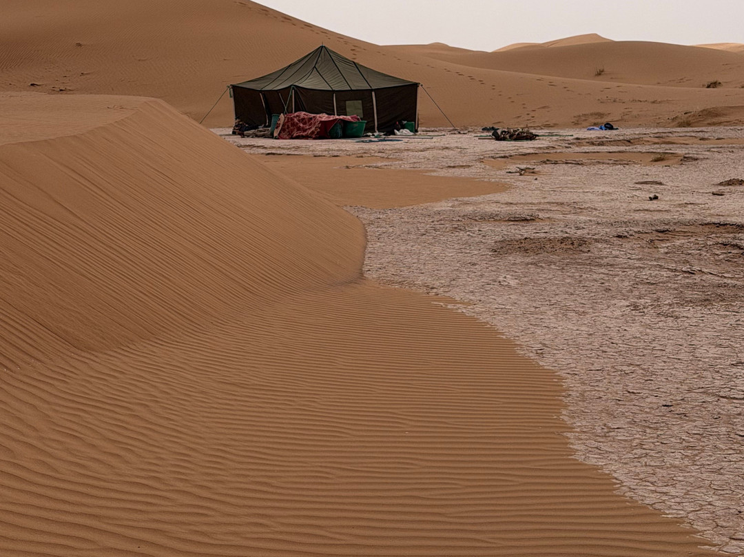 Wild Morocco-扎古拉必去景点
