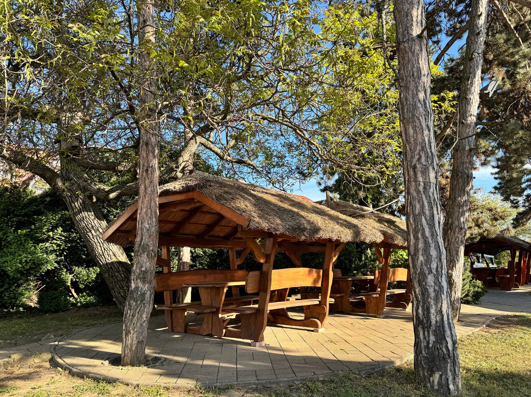 Balla Geza Winery-阿拉德必去景点