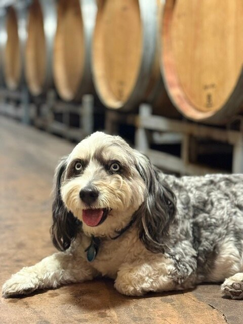 Alexander Valley Vineyards-希尔兹堡必去景点