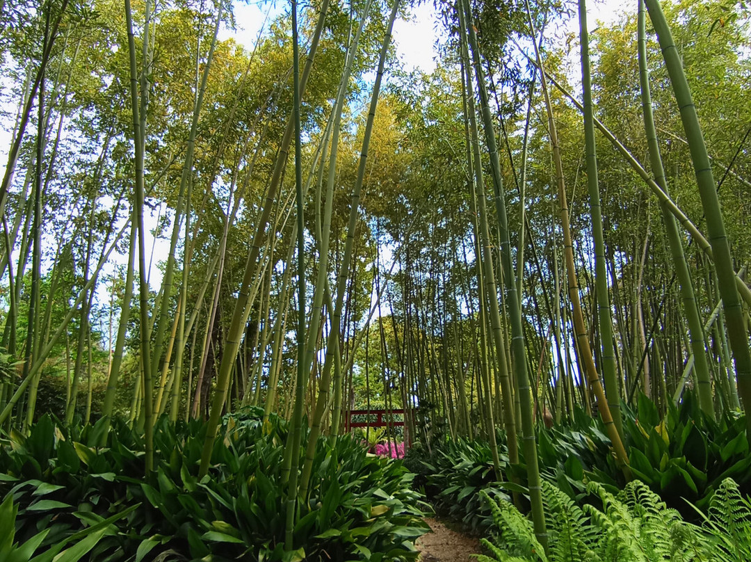 Heller Garden-加尔多内里维耶拉必去景点
