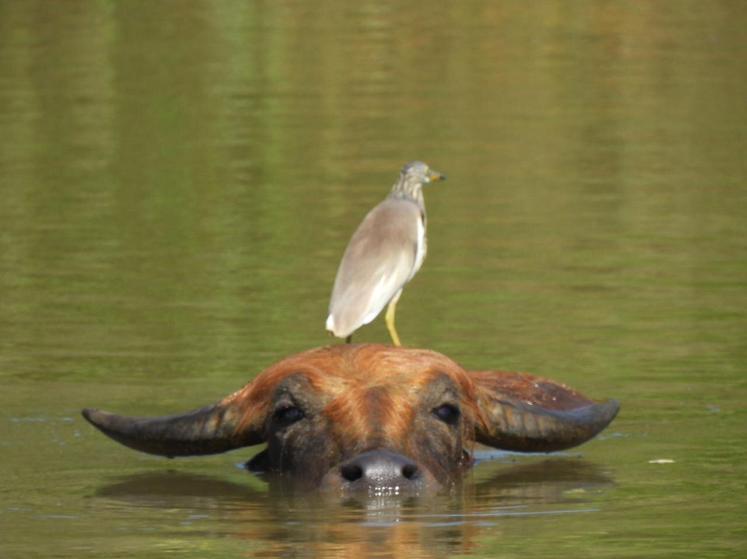 Sanjaya Tours Sri Lanka-锡吉里亚必去景点