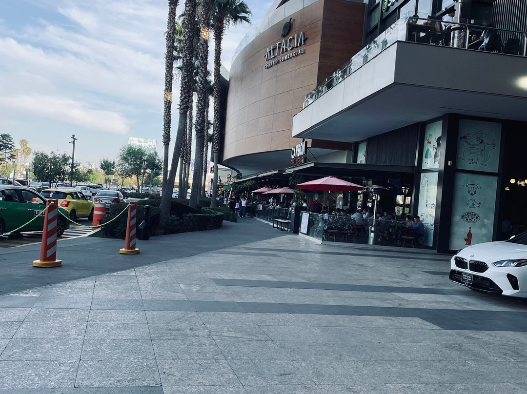 Centro Comercial Altacia-利昂必去景点