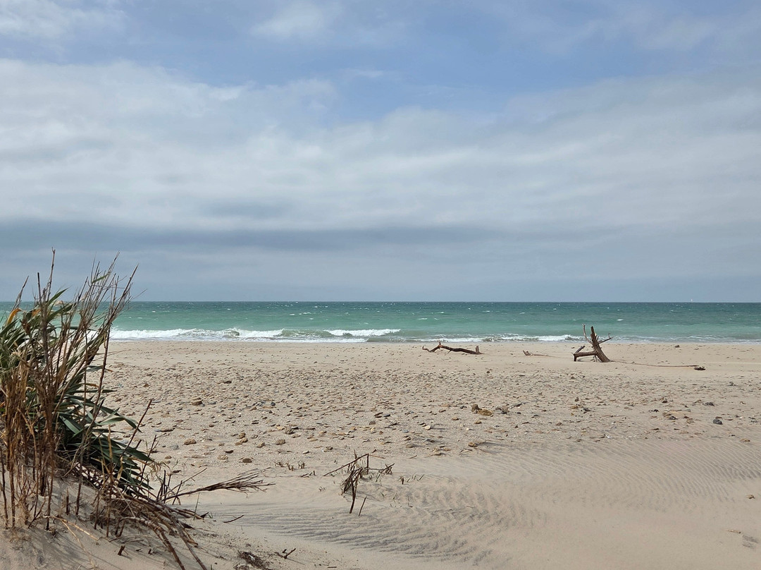 Playa De Camposoto-圣费尔南多必去景点