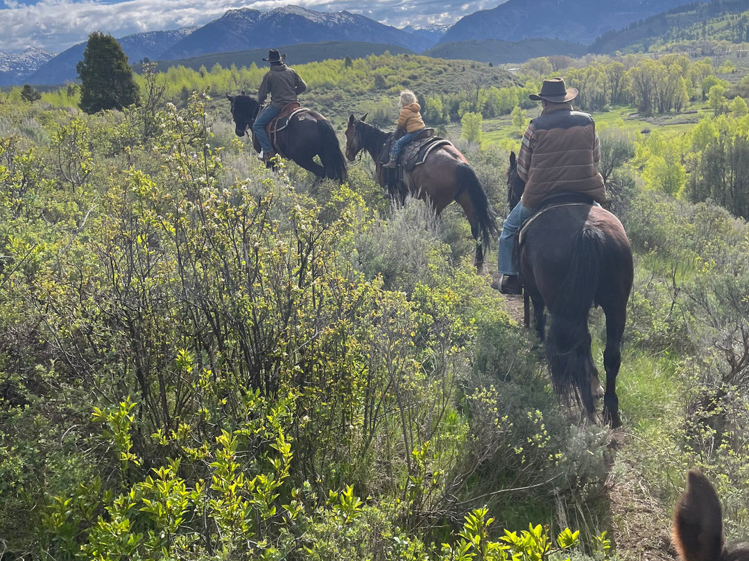 Jackson Hole Outfitters-Alpine必去景点