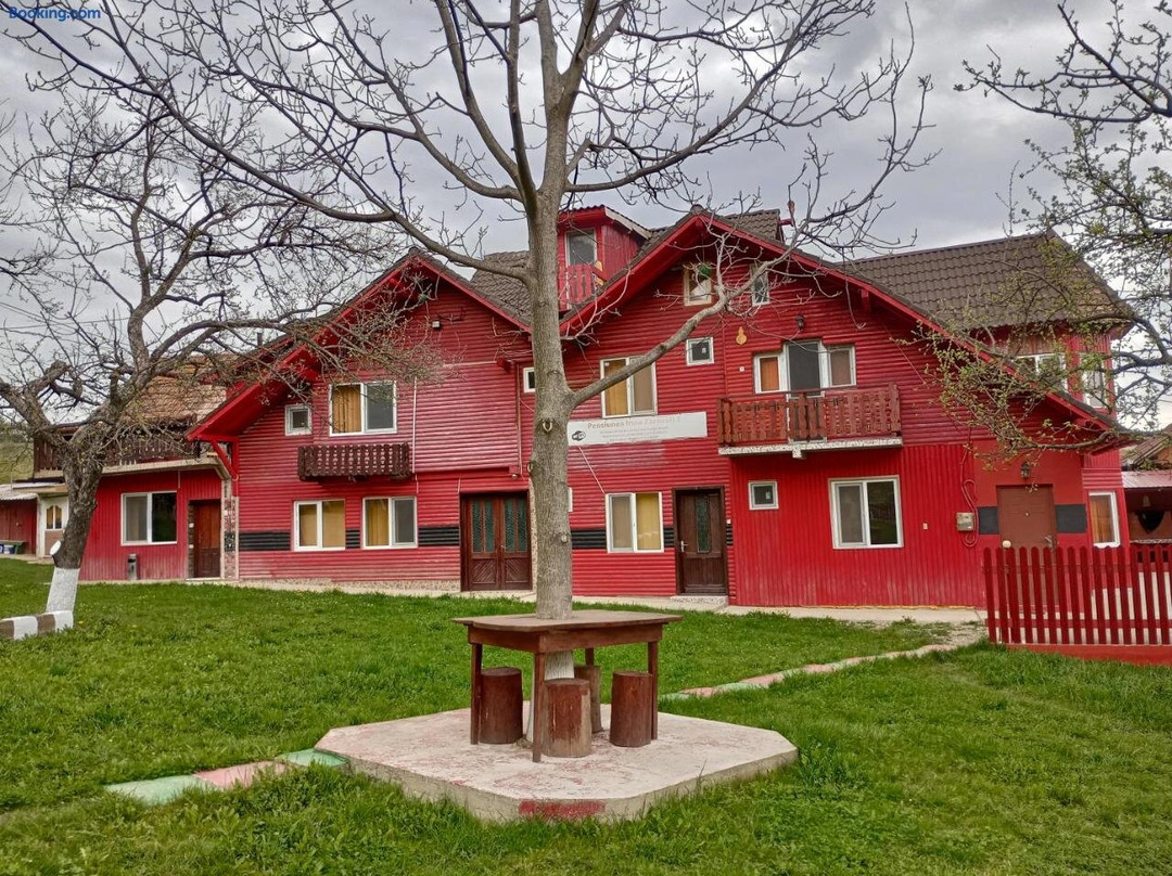 Pensiunea Irina 3