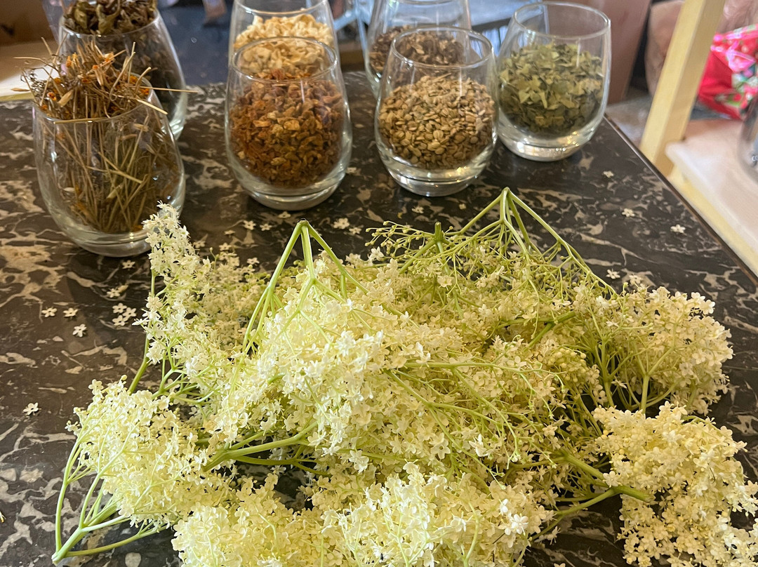 La Sauvage Boutique Et Ateliers-韦兹莱必去景点