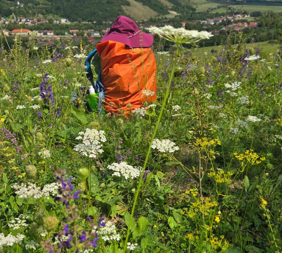 Via Transilvanica-Piatra Fantanele必去景点
