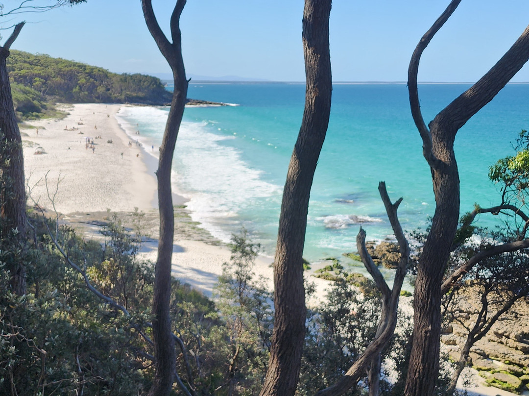 Sydney Private  Guided Tours-悉尼必去景点