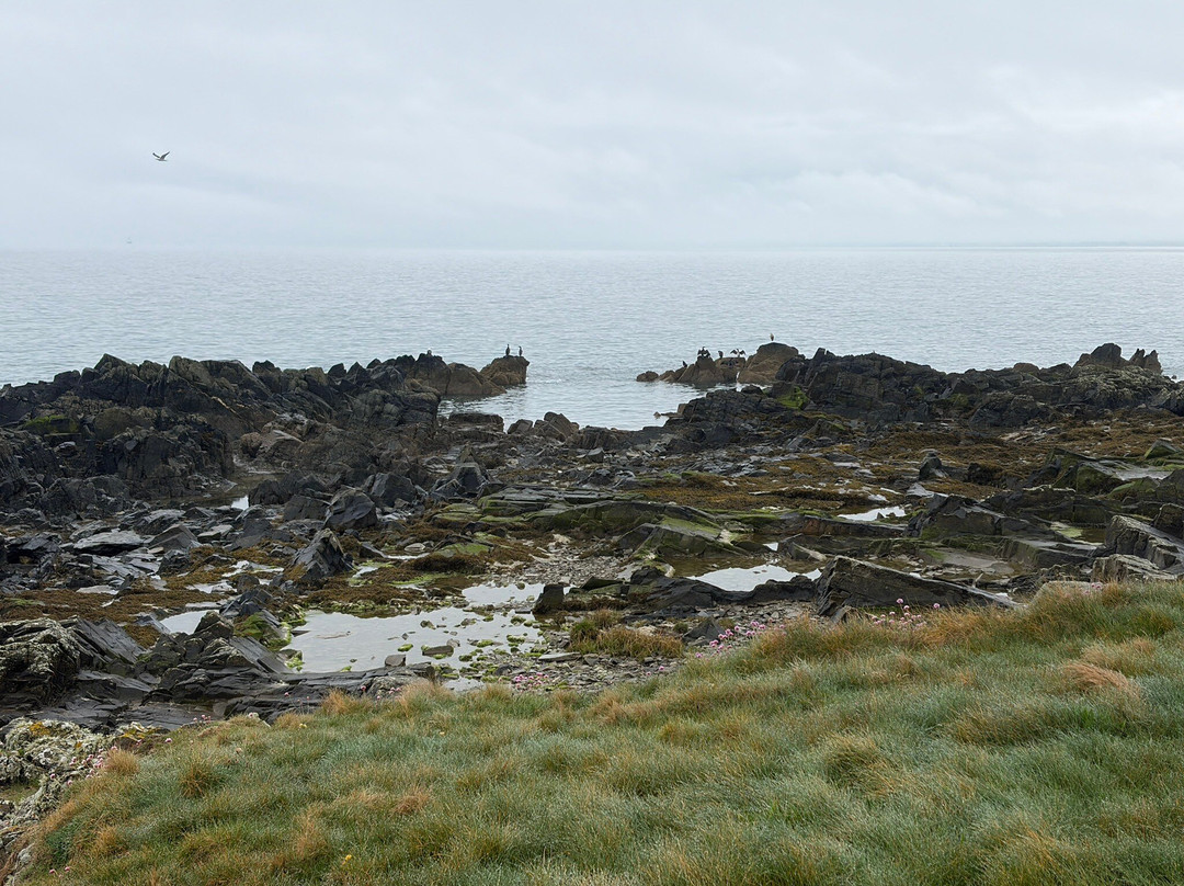 Clogherhead Headland Walk