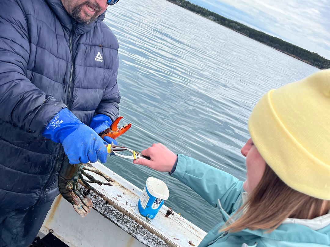 Bar Harbor Fishing Tours-山漠岛必去景点