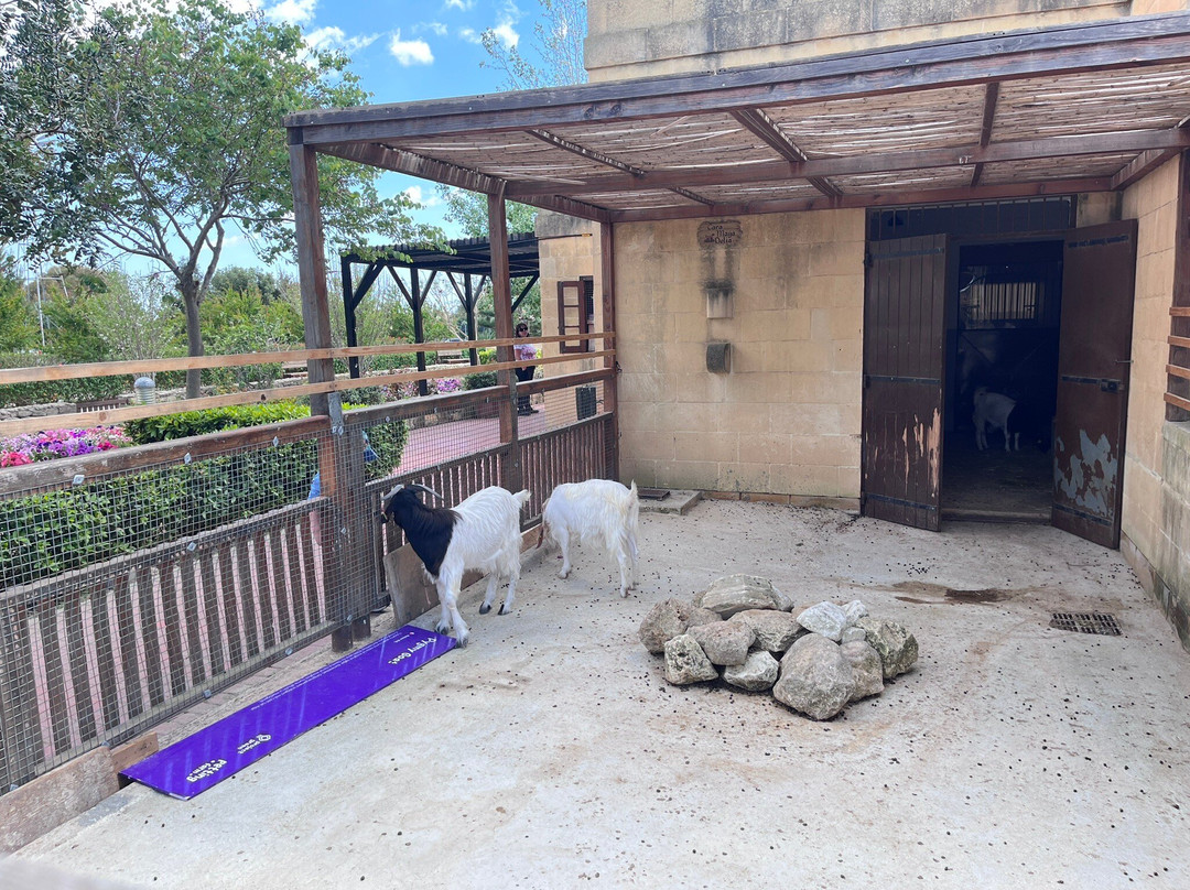 Ta’ Qali National Park-Attard必去景点