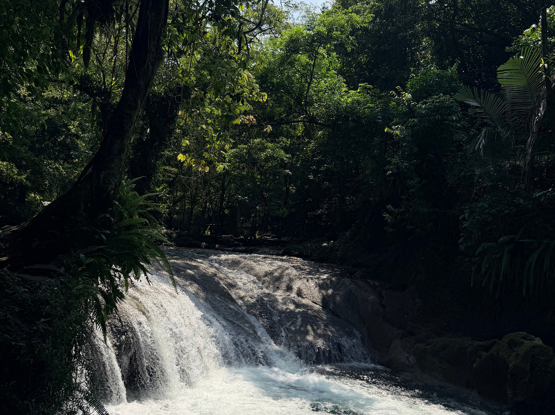 Dindin Tour - Day Tours-庞岸达兰必去景点