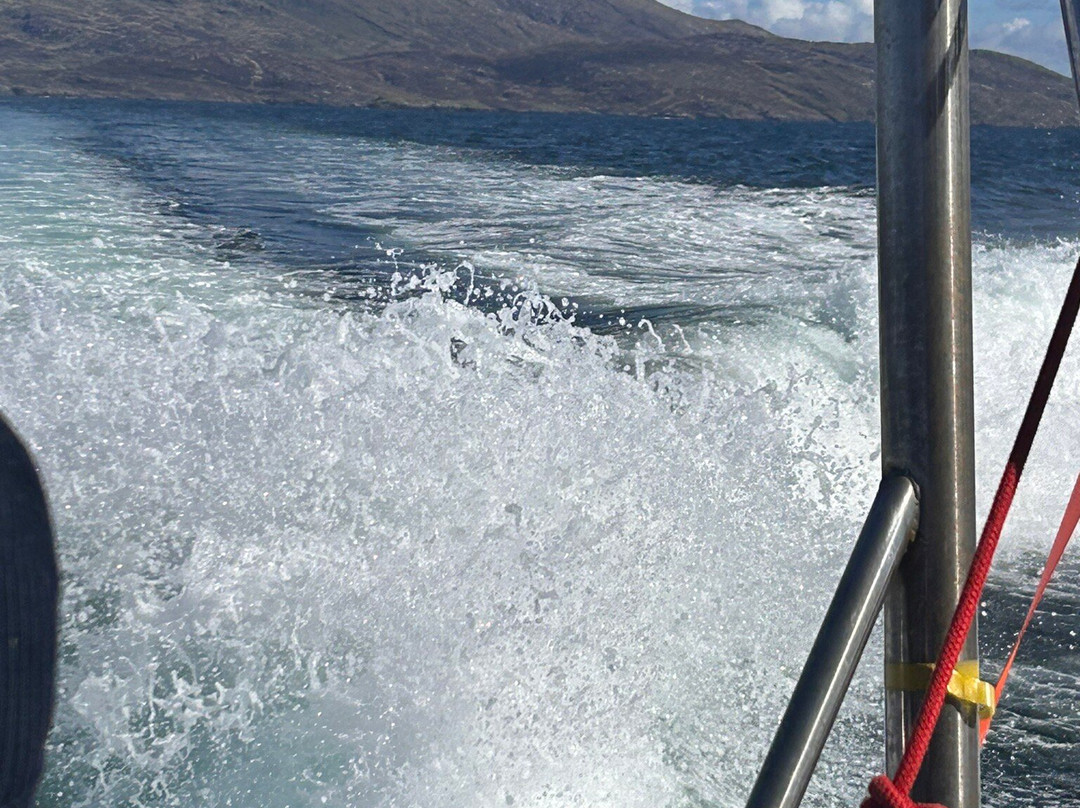 Hebridean Sea Tours-Castlebay必去景点