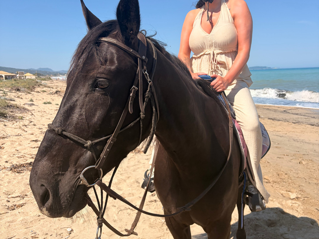 Arena horse riding corfu-Perithia必去景点