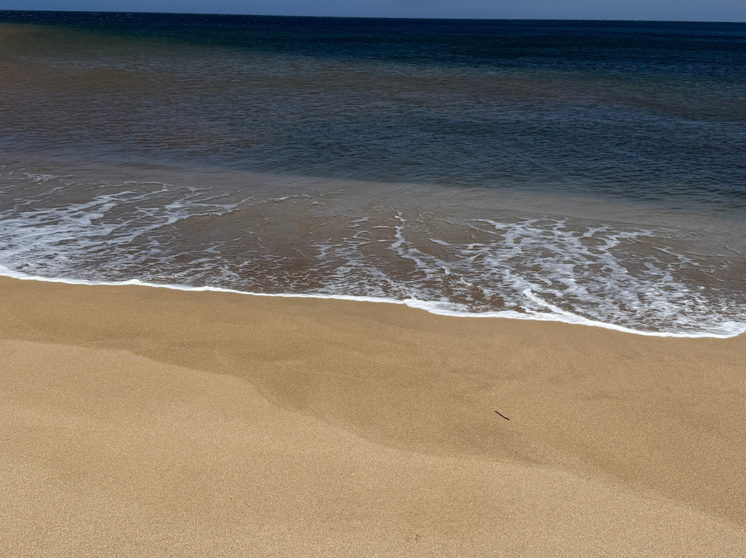 Kawakiu Beach-莫纳罗亚必去景点
