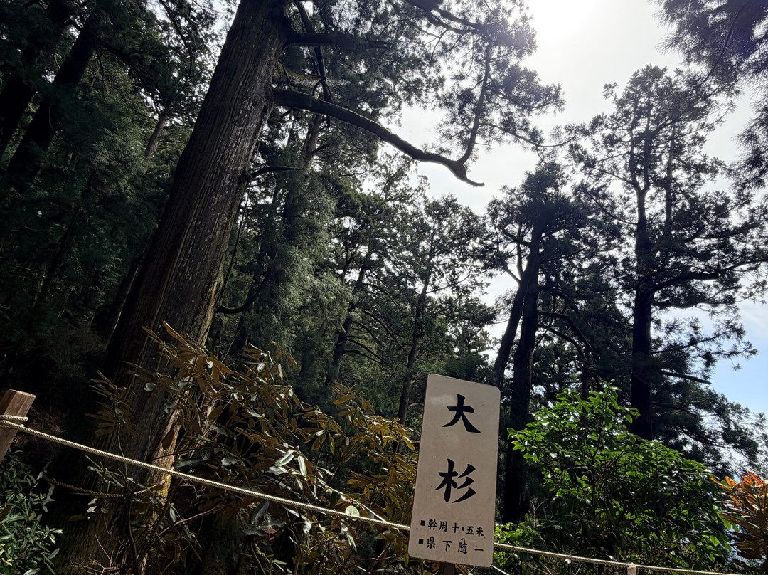 Tamaki Shrine-十津川村必去景点
