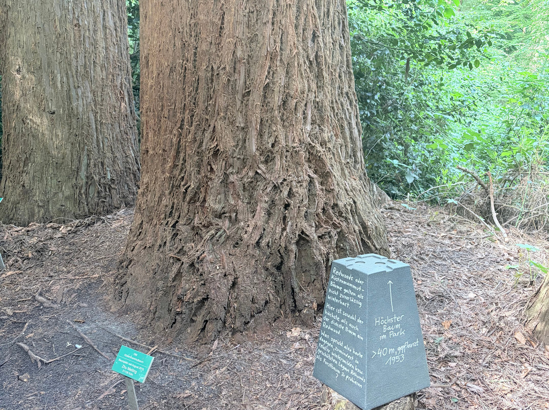 Sequoiafarm-Nettetal必去景点