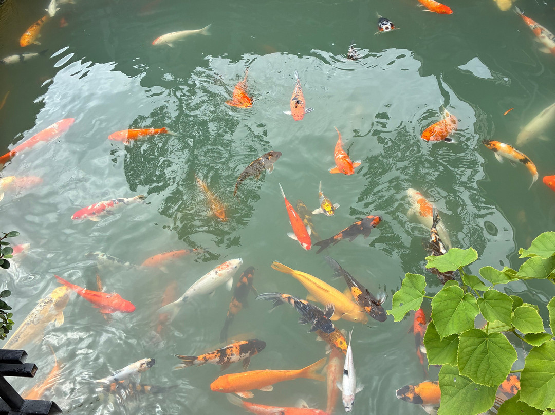 Khao Sok Travel-万打坤必去景点