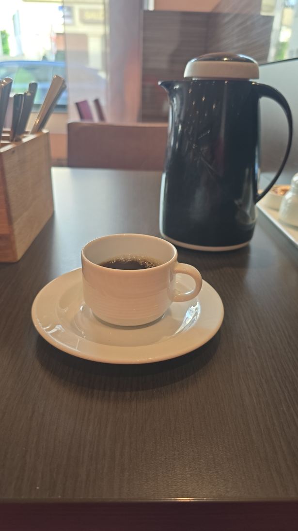 波恩城际酒店-旅行者