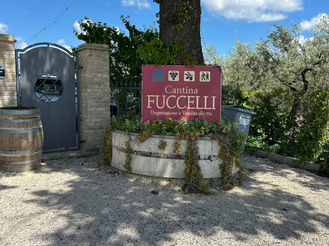 Cantina Fuccelli-Montefalco必去景点