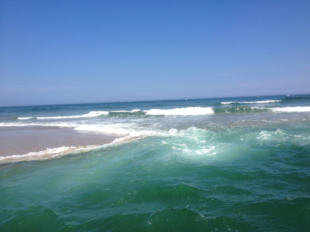 Monomoy Island Excursions-Harwich Port必去景点