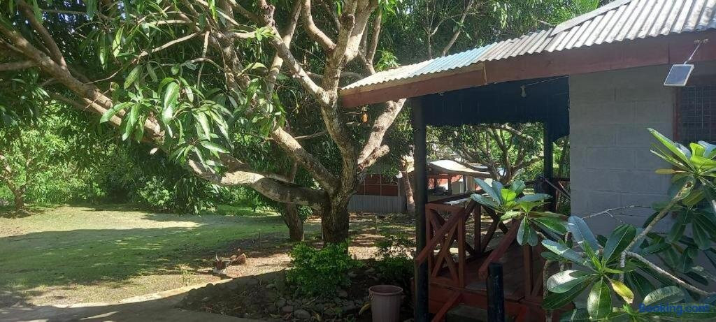 Eco Adventure Camp, Lodge and Tours