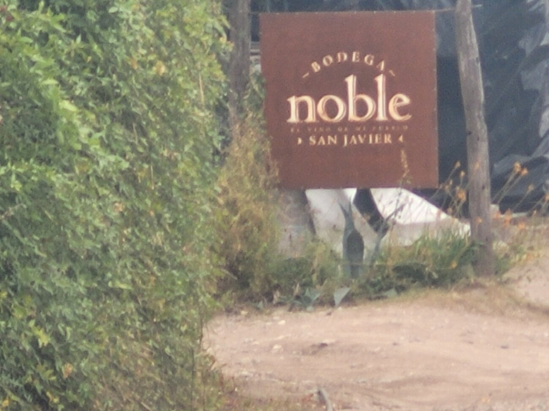 Bodega San Javier-圣哈维尔必去景点