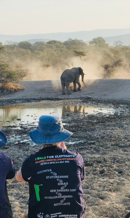 Kunene Elephant Walk-Sesfontein必去景点