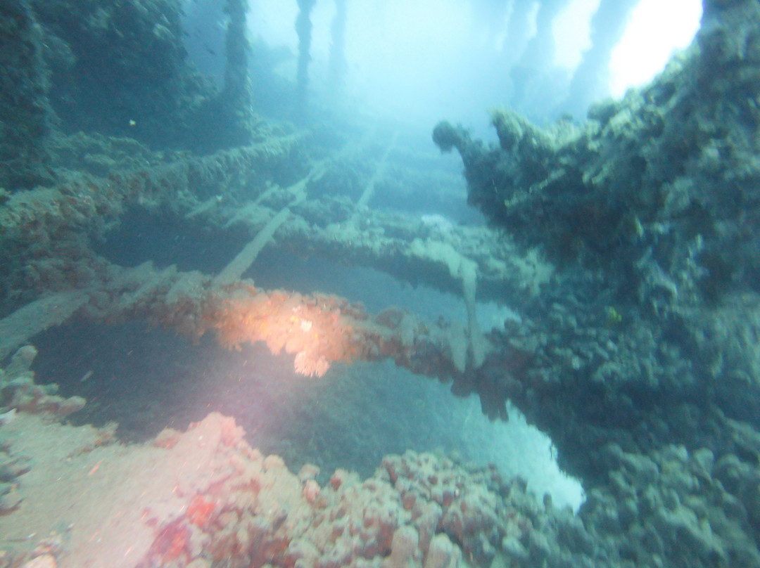 Starfish Diving Center-弗萨必去景点