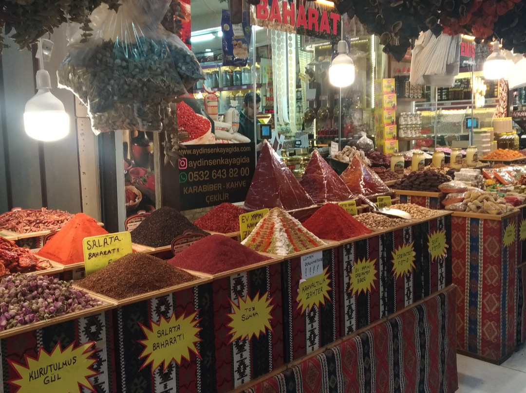 Elmacı Pazarı-加济安泰普必去景点