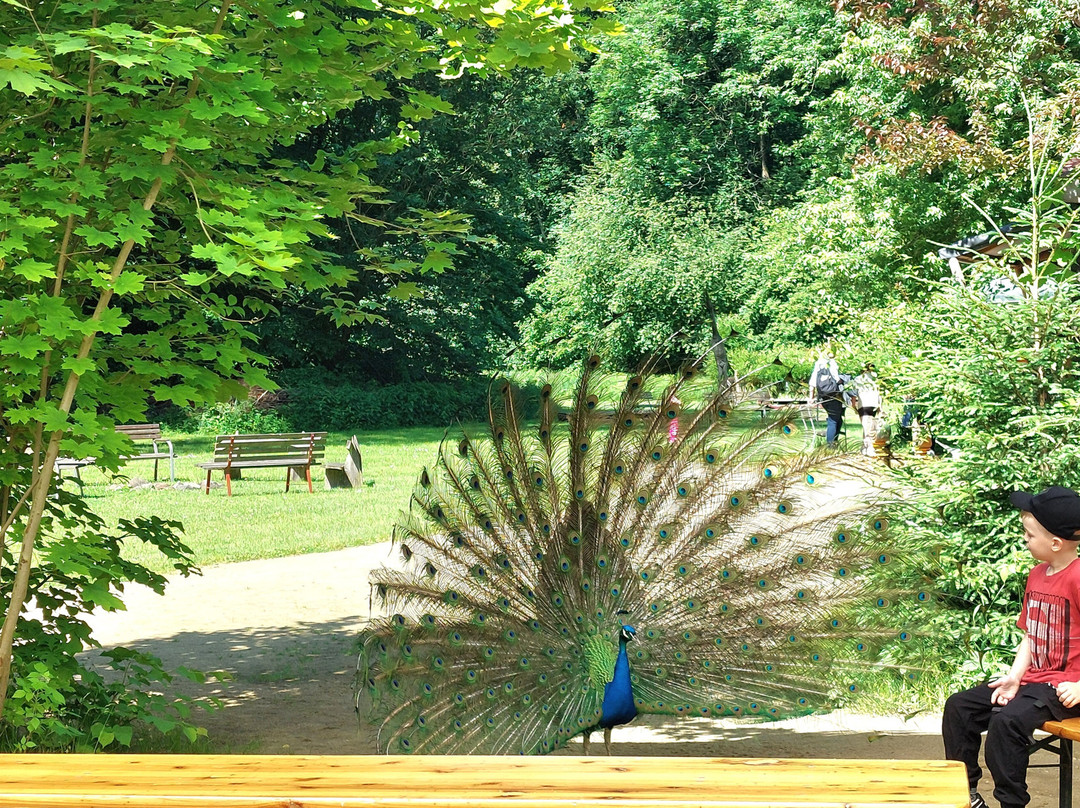 Tierpark Zittau-Zittau必去景点
