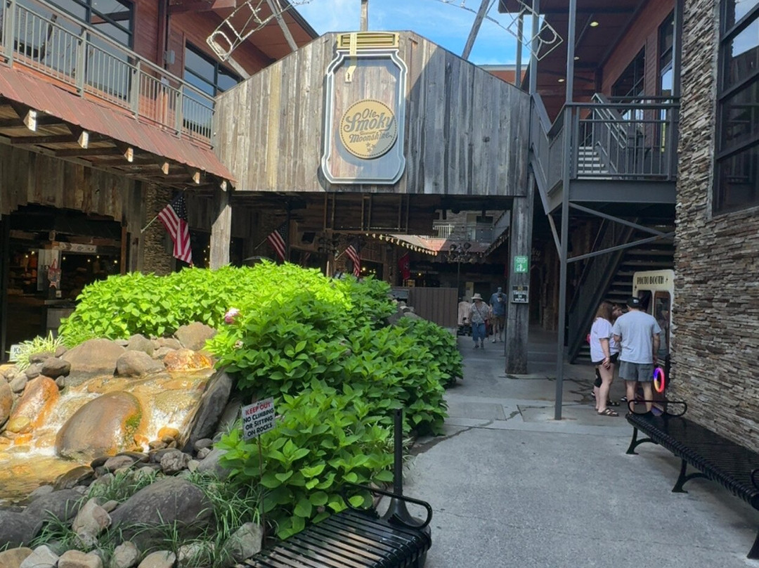 Ole Smoky Distillery - The Holler-盖林柏格必去景点