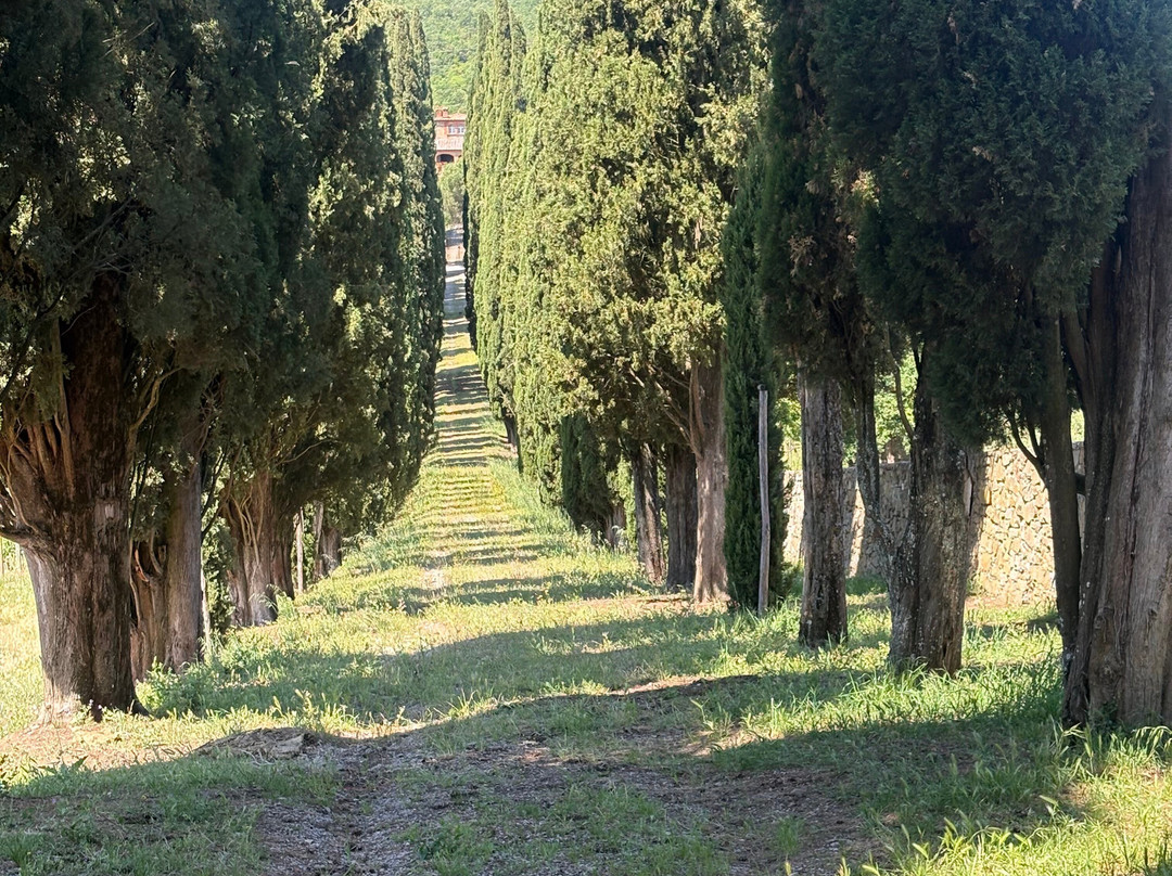Great Tours Of Italy-Lariano必去景点
