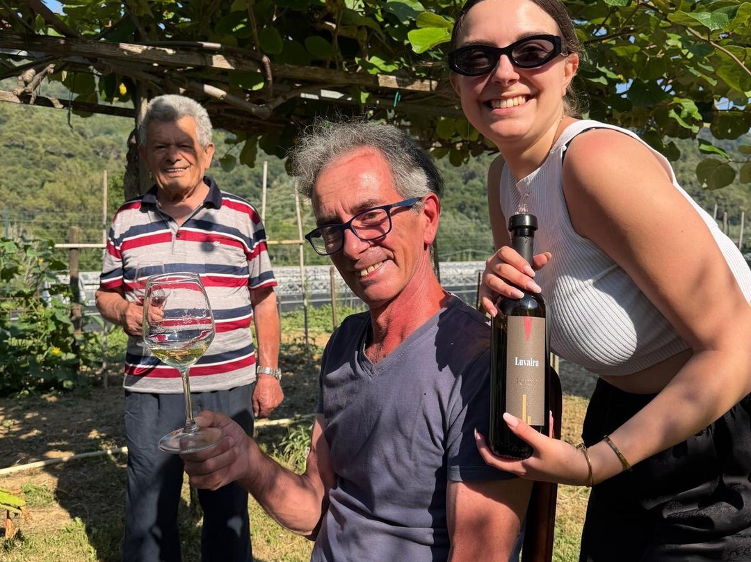 Foresti Wine - Azienda Agricola Foresti Marco-Camporosso必去景点