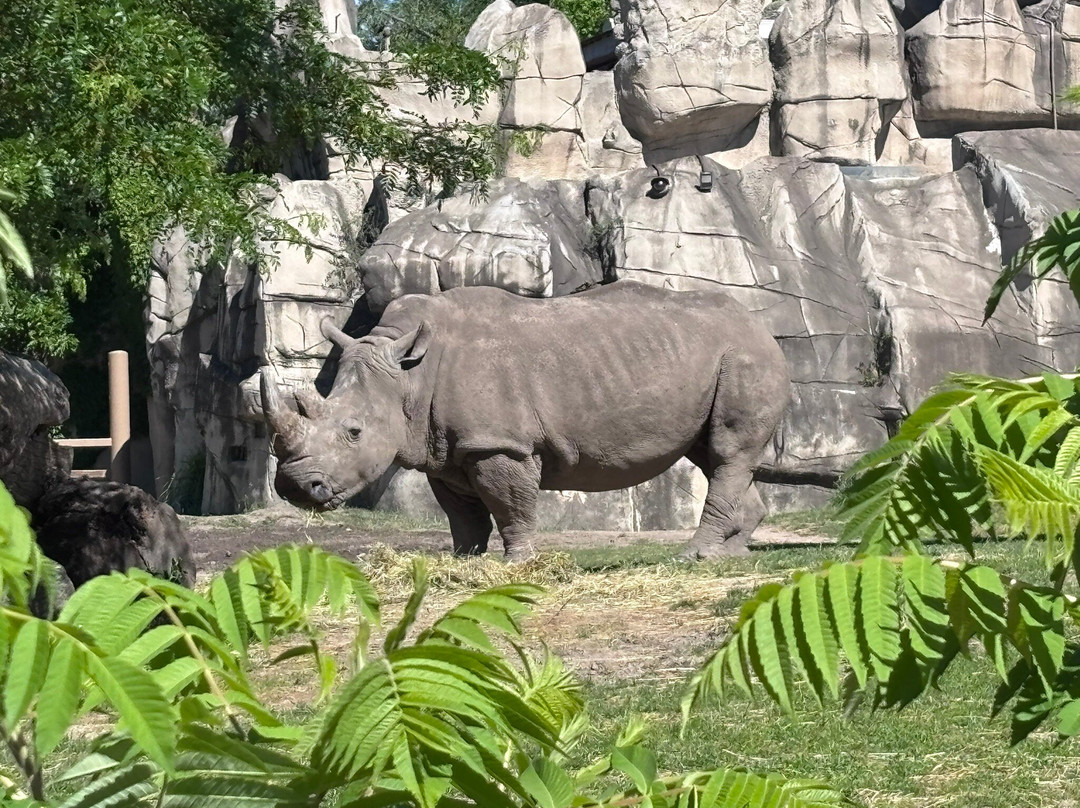 Detroit Zoo-罗亚尔奥克必去景点