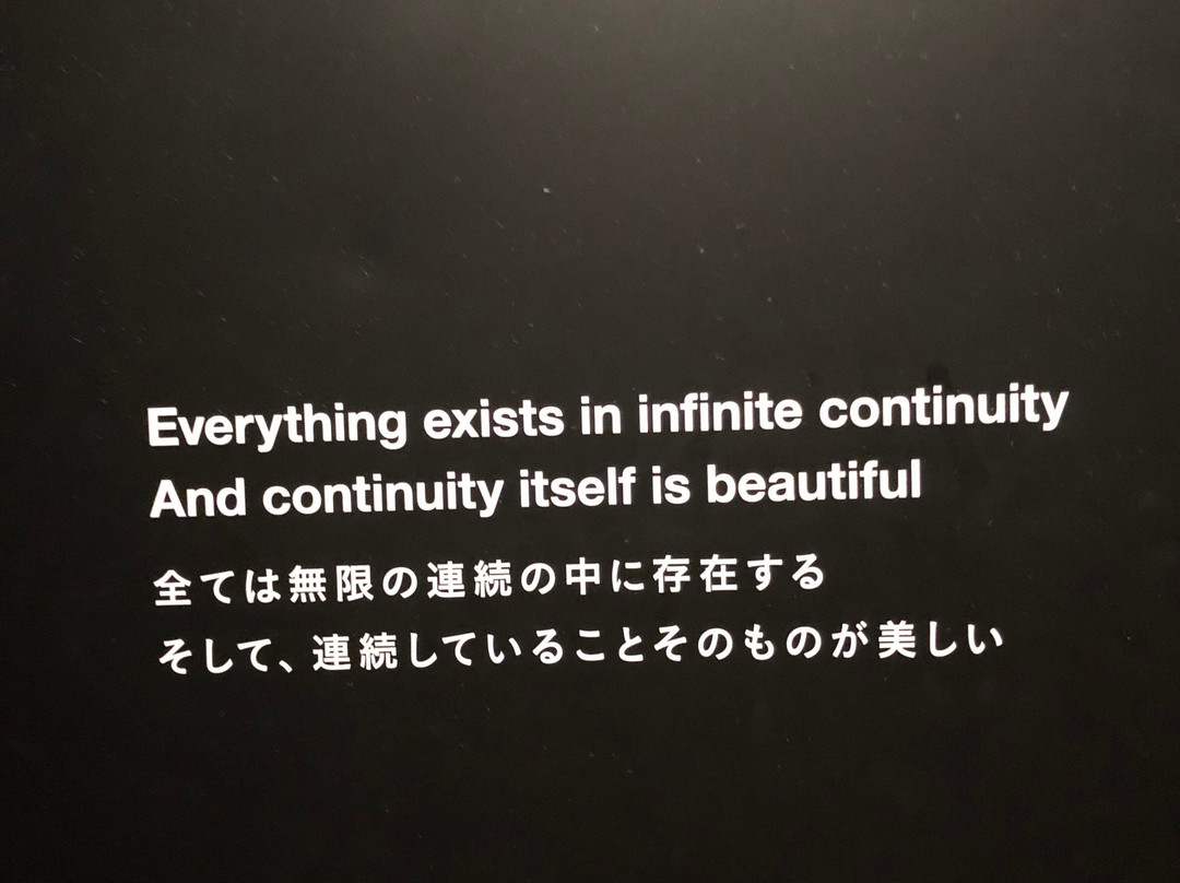 Teamlab Borderless Tokyo-港区必去景点