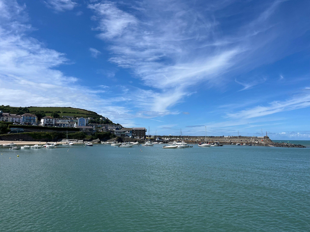 Dolphin Spotting Boat Trips (by New Quay Boat Trips)-纽基必去景点