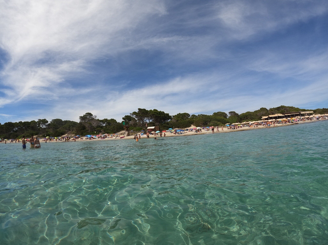 Playa de Ses Salines-Ses Salines必去景点
