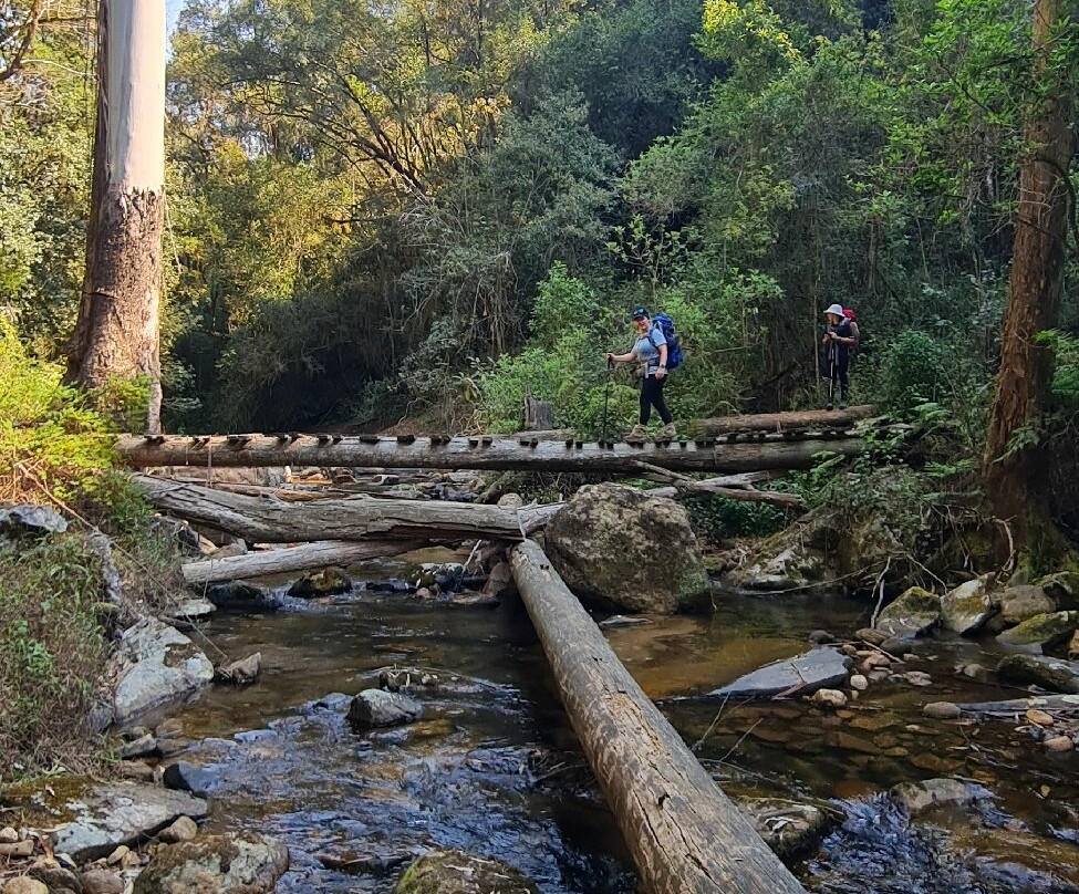 Magoebaskloof Hiking Trail-参宁必去景点
