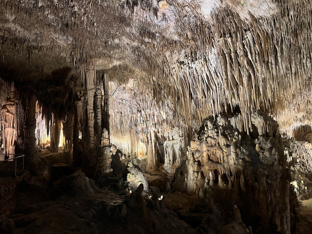 Cuevas del Drach-克里斯托港必去景点