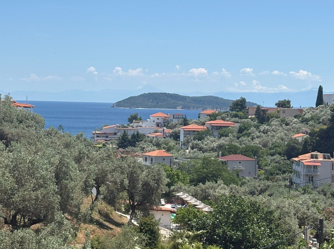 Avaton Hotel-Suites-Villas In Skiathos主图